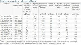 DYBEL RAMOWY Z HAKIEM KĄTOWYM ARL 10/100MM